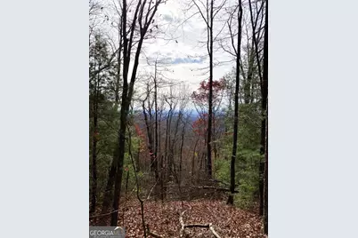 L334 335 Brushy Top Drive #334 335, Ellijay, GA 30540 - Photo 9