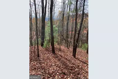 L334 335 Brushy Top Drive #334 335, Ellijay, GA 30540 - Photo 3