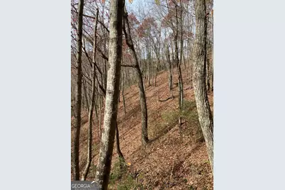 L334 335 Brushy Top Drive #334 335, Ellijay, GA 30540 - Photo 11