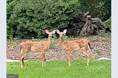 50 Inverness Way, Newnan, GA 30265 - Photo 33