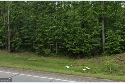 0 North 16 Highway, Whitesburg, GA 30185 - Photo 3