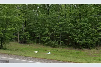 0 North 16 Highway, Whitesburg, GA 30185 - Photo 5