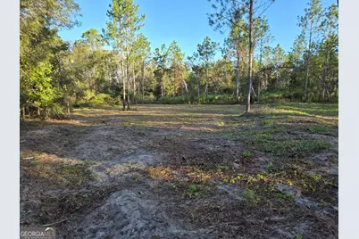 600 Alton Lawson Road, Adrian, GA 31002 - Photo 1