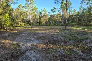 600 Alton Lawson Rd, Adrian, GA 31002 - Photo 1