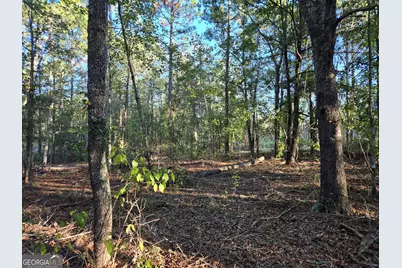 600 Alton Lawson Road, Adrian, GA 31002 - Photo 5