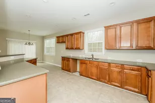 4570 Buck Skin Way, Douglasville, GA 30135 - Photo 9