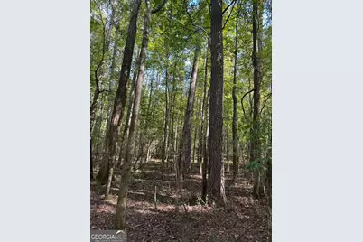 0 Hebron Church Road, Statham, GA 30666 - Photo 15