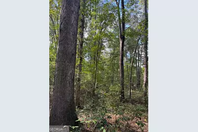 0 Hebron Church Road, Statham, GA 30666 - Photo 3