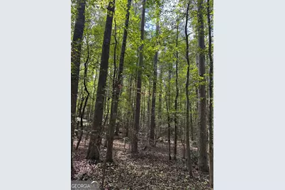 0 Hebron Church Road, Statham, GA 30666 - Photo 5