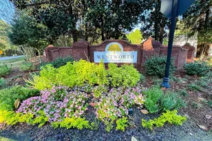 20 Plainfield Pl, Newnan, GA 30265 - Photo 63