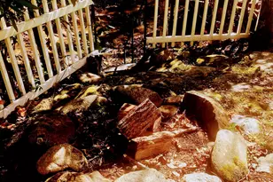 1112 Creekside Dr, Hiawassee, GA 30546 - Photo 19