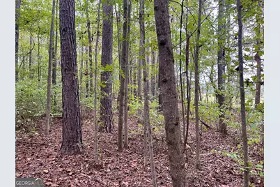 0 Buffalo Creek Road, Carrollton, GA 30117 - Photo 33