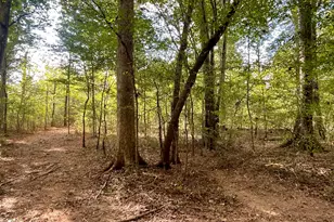 0 Buffalo Creek Rd, Carrollton, GA 30117 - Photo 1