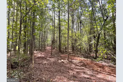 0 Buffalo Creek Road, Carrollton, GA 30117 - Photo 17