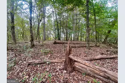 0 Buffalo Creek Road, Carrollton, GA 30117 - Photo 25