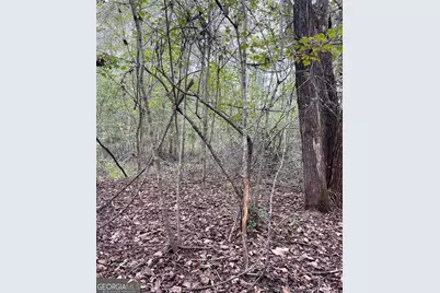 0 Buffalo Creek Road, Carrollton, GA 30117 - Photo 21