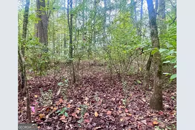 0 Buffalo Creek Road, Carrollton, GA 30117 - Photo 35