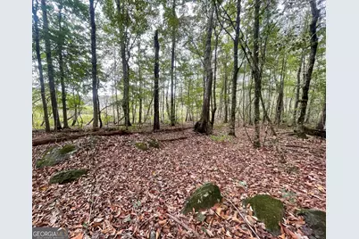 0 Buffalo Creek Road, Carrollton, GA 30117 - Photo 27