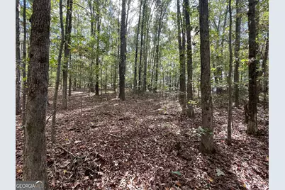 0 Buffalo Creek Road, Carrollton, GA 30117 - Photo 19