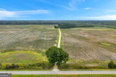 568 Hopewell Church Road, Rhine, GA 31077 - Photo 61