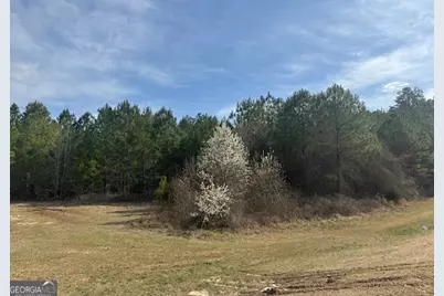 39 Brush Creek Park Road, Franklin, GA 30217 - Photo 3