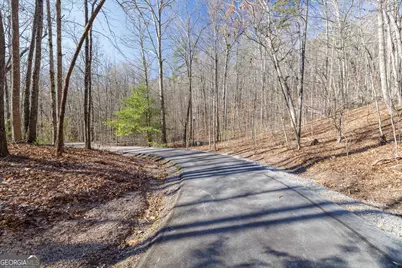 0 Forest Canopy Way #11, Clayton, GA 30525 - Photo 5