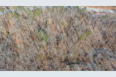 0 Forest Canopy Way #11, Clayton, GA 30525 - Photo 17