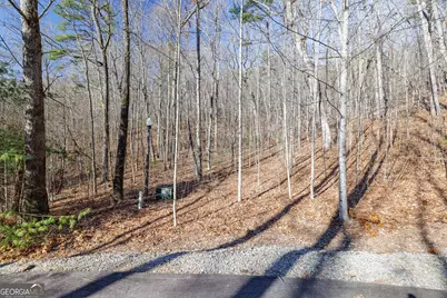 0 Forest Canopy Way #11, Clayton, GA 30525 - Photo 7