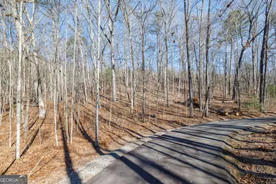 0 Forest Canopy Way #11, Clayton, GA 30525 - Photo 11