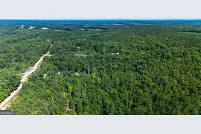 0 Branch Hebron Road, Greenville, GA 30222 - Photo 1