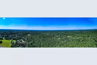 0 Branch Hebron Road, Greenville, GA 30222 - Photo 3