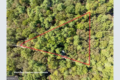 250 Chinkapin Drive, Blue Ridge, GA 30513 - Photo 29