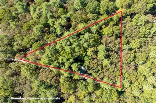 250 Chinkapin Dr, Blue Ridge, GA 30513 - Photo 29