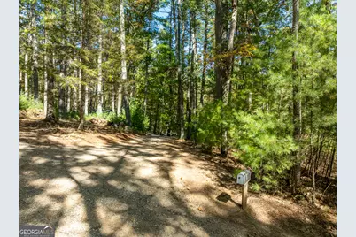250 Chinkapin Drive, Blue Ridge, GA 30513 - Photo 31