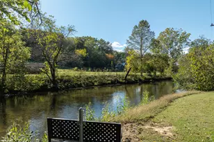 250 Chinkapin Dr, Blue Ridge, GA 30513 - Photo 45