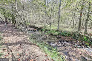 1064 Muskrat Creek Rd, Hayesville, NC 28904 - Photo 43