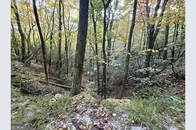 0 Wood Sorrel Lane #LOT 727/726, Clayton, GA 30525 - Photo 11