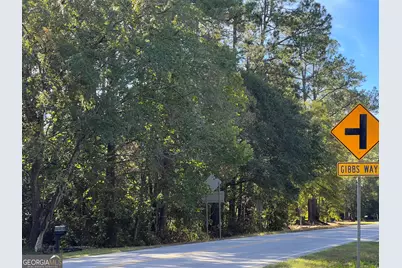 0 US Highway 17, Waverly, GA 31565 - Photo 3