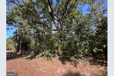 0 US Highway 17, Waverly, GA 31565 - Photo 9