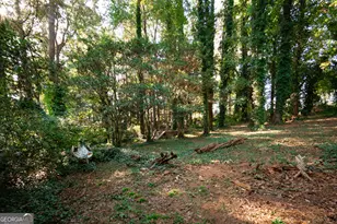 922 Springer Dr, Griffin, GA 30224 - Photo 67