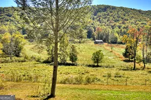 300 Harris Dr, Blue Ridge, GA 30513 - Photo 51