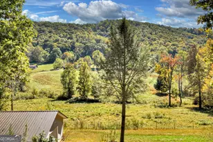 300 Harris Dr, Blue Ridge, GA 30513 - Photo 39