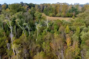 1750 Bishop Rd, Luthersville, GA 30251 - Photo 69