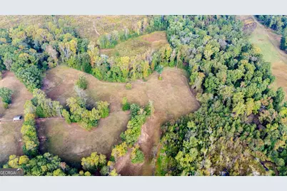 1750 Bishop Road, Luthersville, GA 30251 - Photo 65