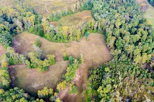 1750 Bishop Rd, Luthersville, GA 30251 - Photo 65