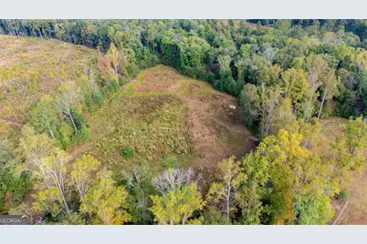 1750 Bishop Road, Luthersville, GA 30251 - Photo 59