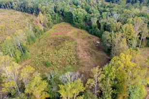 1750 Bishop Rd, Luthersville, GA 30251 - Photo 59