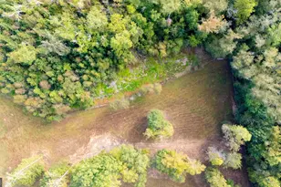 1750 Bishop Rd, Luthersville, GA 30251 - Photo 63