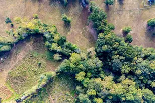 1750 Bishop Rd, Luthersville, GA 30251 - Photo 79