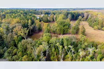 1750 Bishop Road, Luthersville, GA 30251 - Photo 71